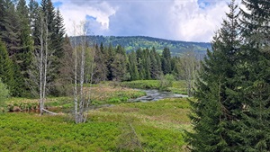 Jízda okolím Studené Vltavy